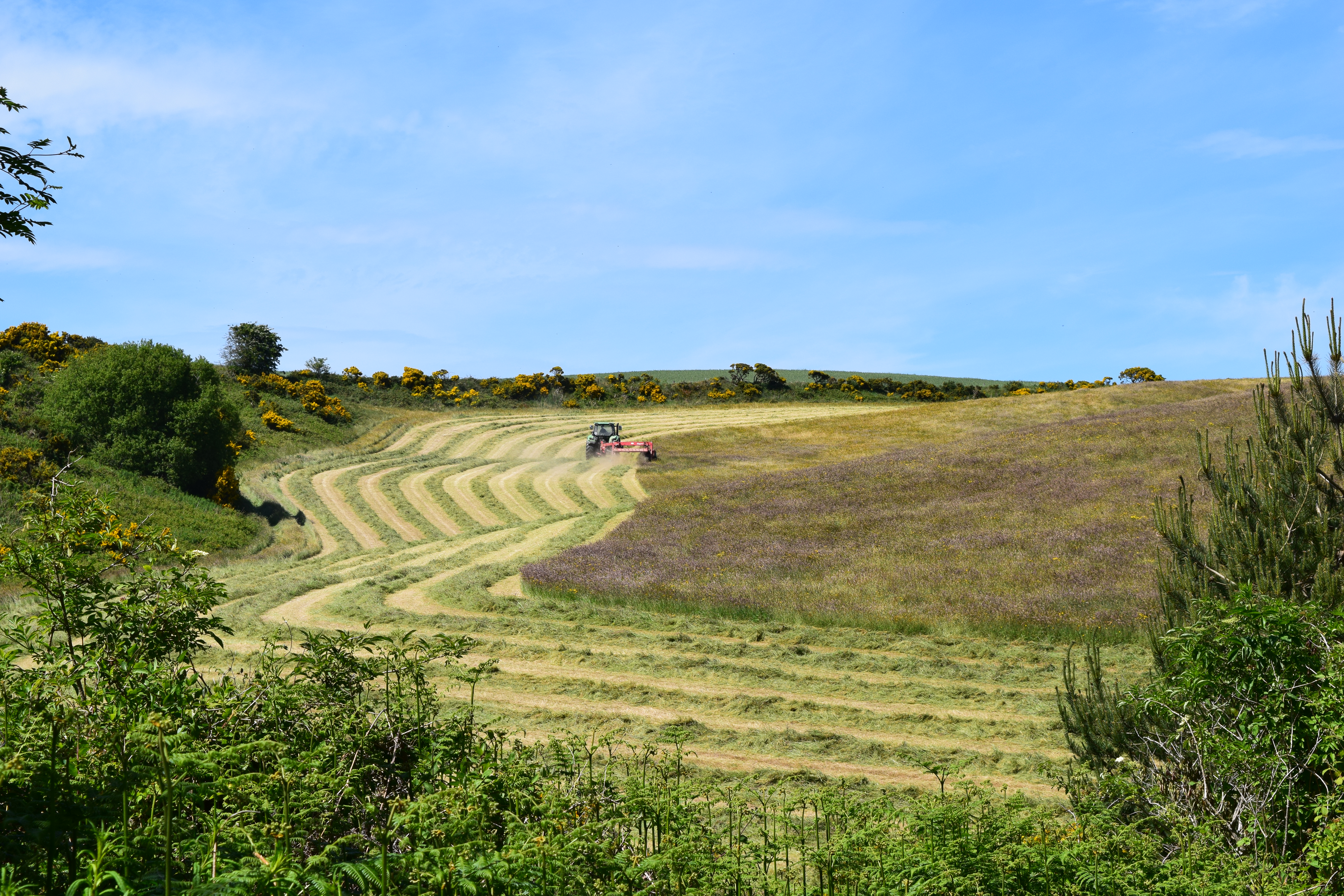 Field and tractor