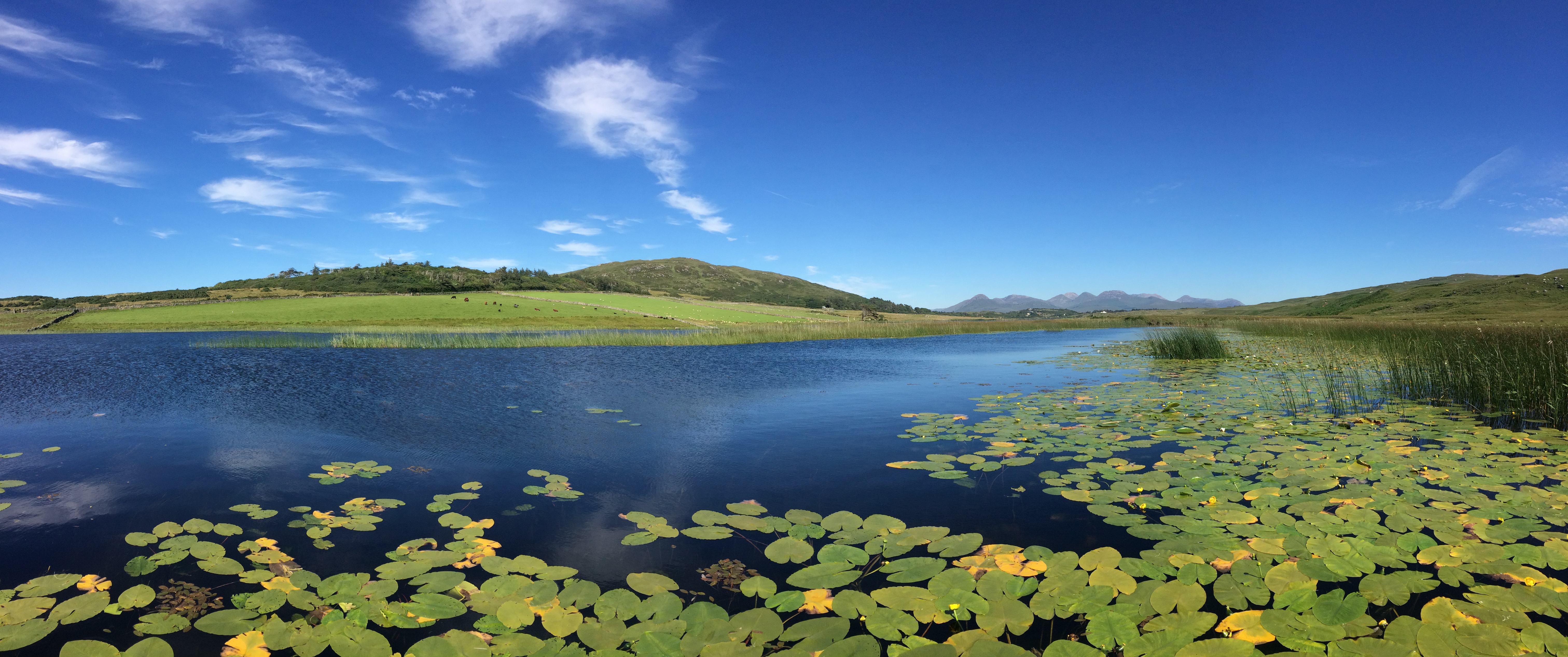 lake and  surrounding area