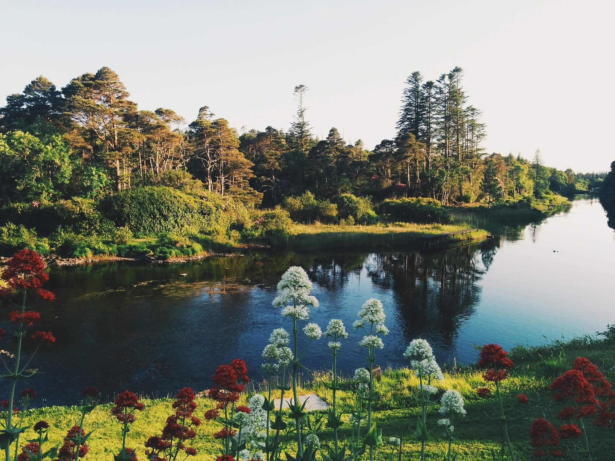 Water with trees in the background