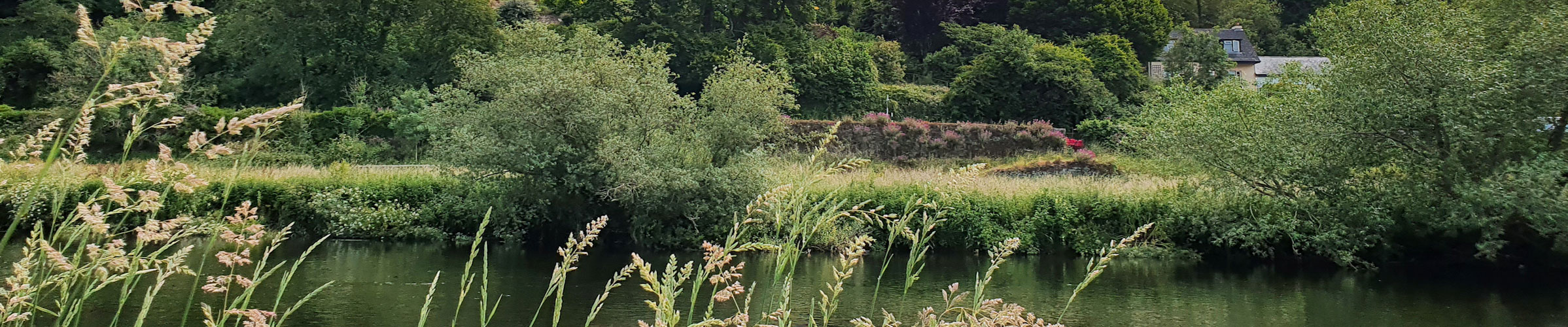 photo of Lake and house