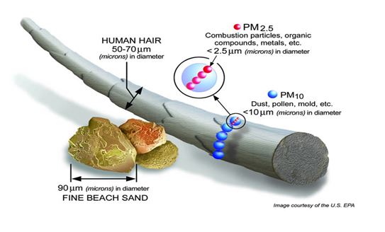 PM size versus human hair