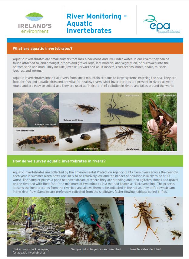 Infographic of River monitoring aquatic invertebrates thumbnail