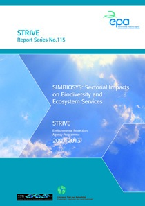 STRIVE 115 thumbnail