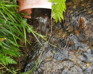 Storm water overflow pipe into stream